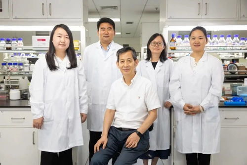 重大突破刷屏 中國(guó)實(shí)現(xiàn)二氧化碳合成淀粉,背后的合成生物技術(shù)是什么來(lái)頭