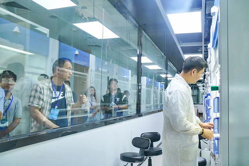 四川 稅引擎 驅(qū)動(dòng)新質(zhì)生產(chǎn)力加速形成