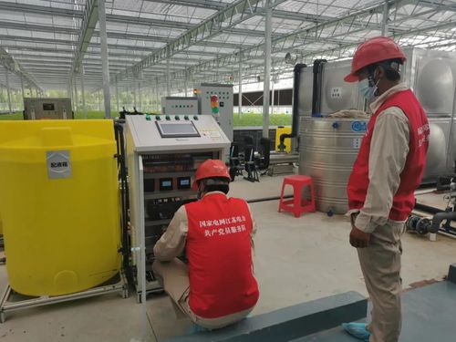 不曬太陽不著土,一年能收14茬 南通市首個(gè)全電智慧植物工廠滿滿科技范兒