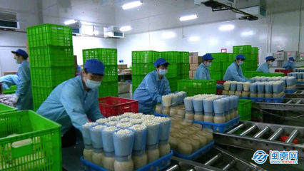 云霄 生物科技助力穩產保供，讓市民“菜籃子”拎得更穩