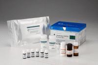 雞17羥皮質類固醇(17-OHCS)ELISA試劑盒 上海研晶生物科技的精準檢測解決方案